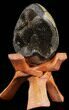 Septarian Dragon Egg Geode - Black Calcite Crystals #33990-1